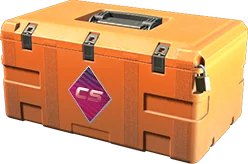 CS2 Fever Case glove-enabled container artwork