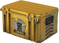 CS2 Glove Case containing rare glove finishes